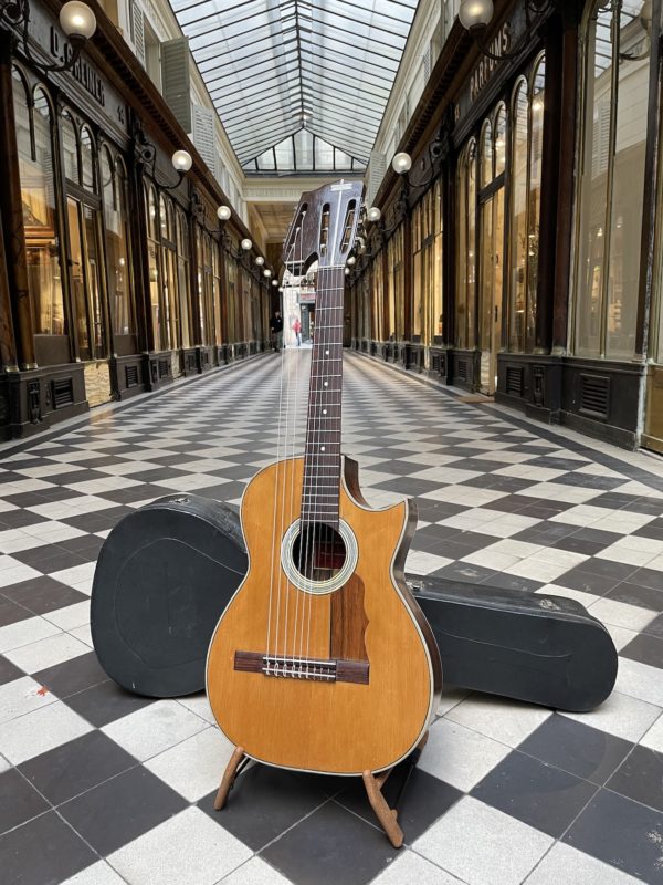 c.1957 del vecchio harp guitar