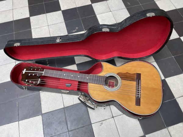 c.1957 del vecchio harp guitar